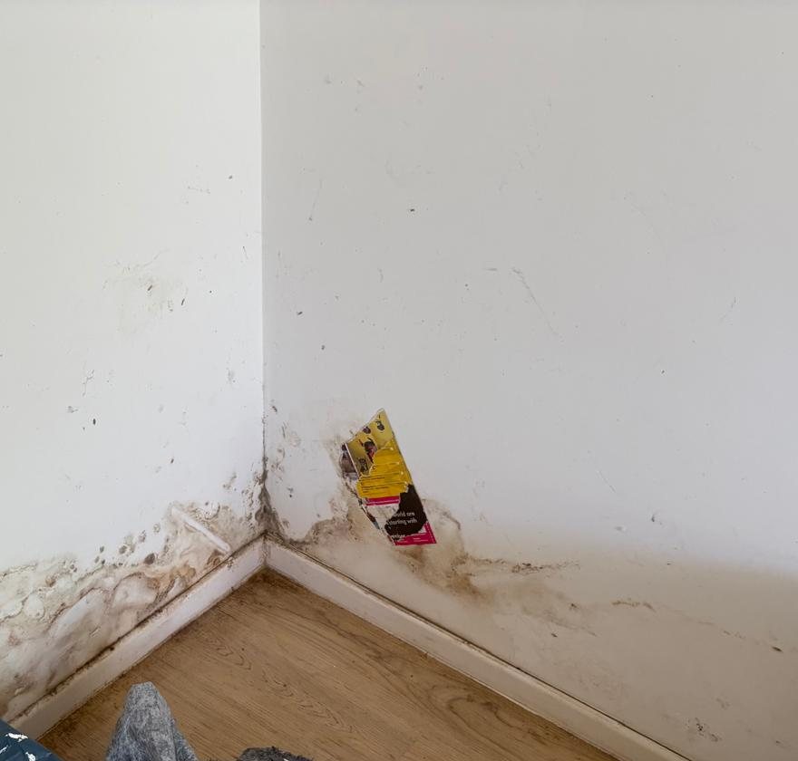 Sockelbereich am Übergang zwischen Wand und Boden