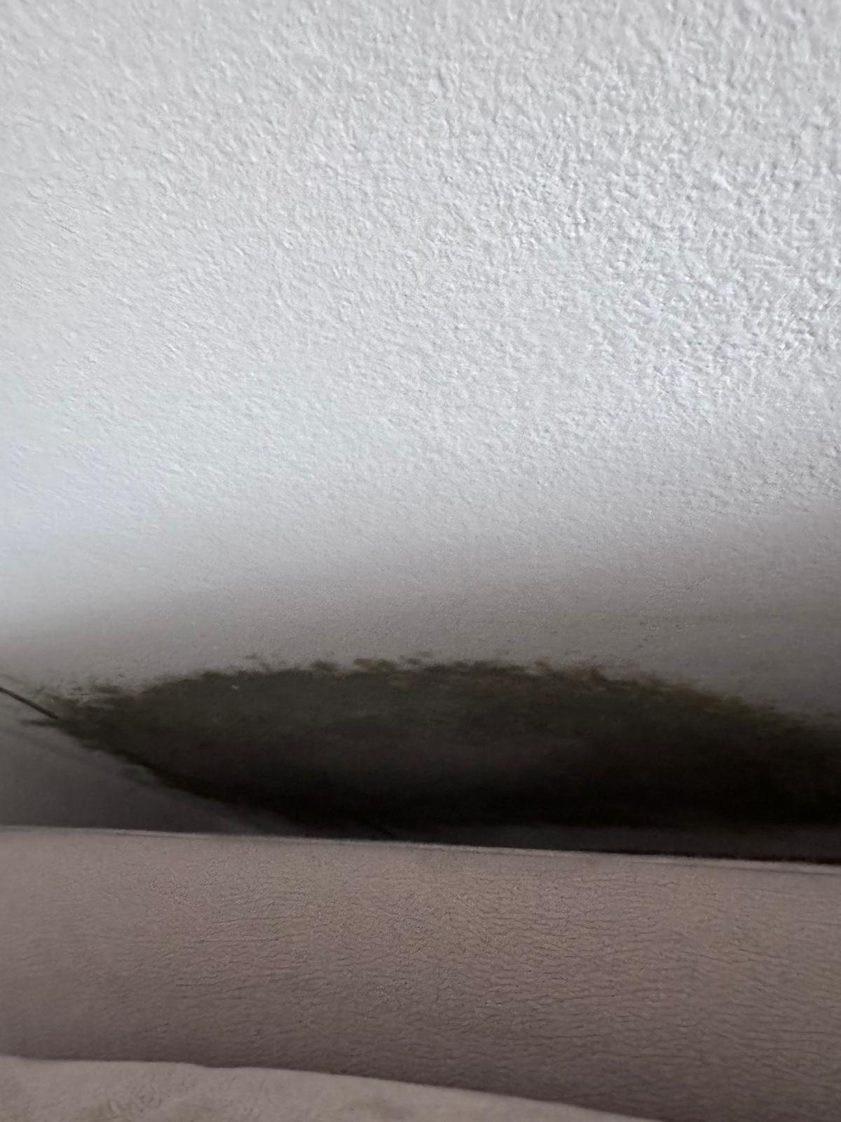 Schimmel an einer Wand