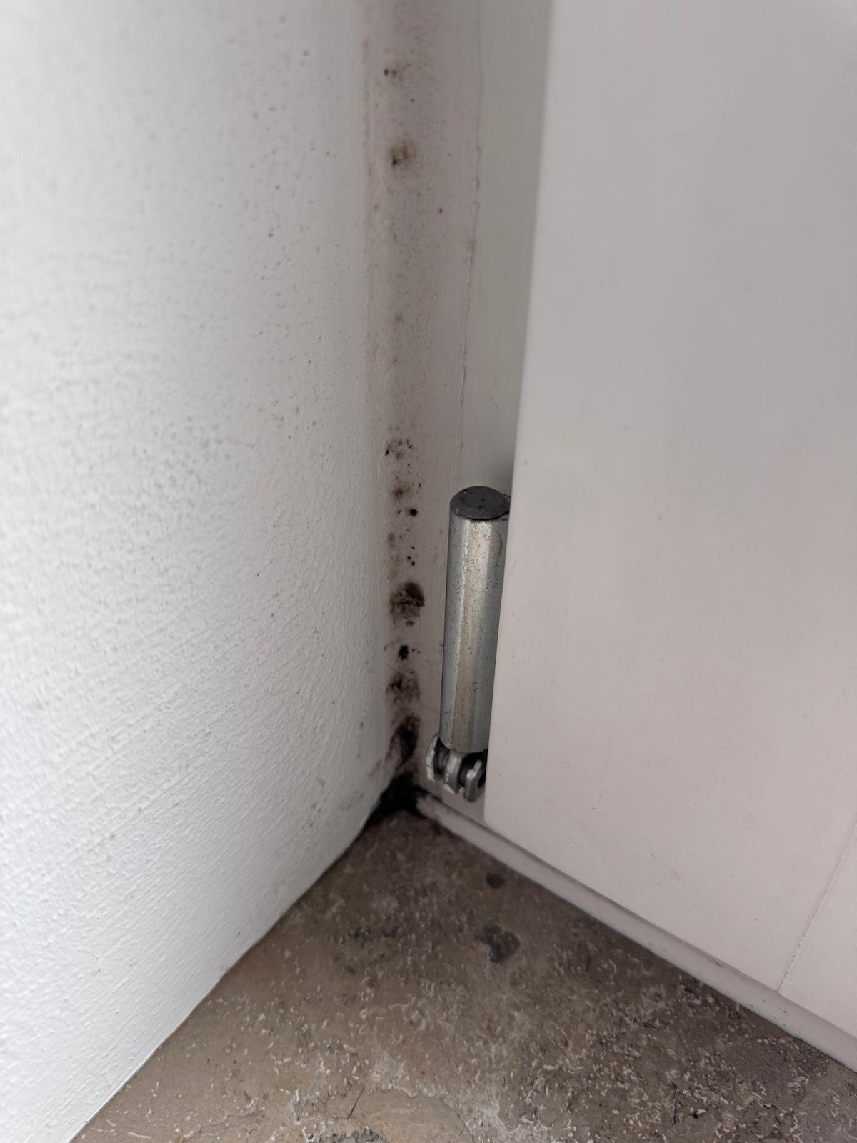 Schimmel an einer Wandecke